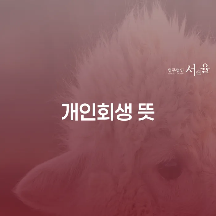양평군 개인회생기록 카드빚 연체 핵심요약