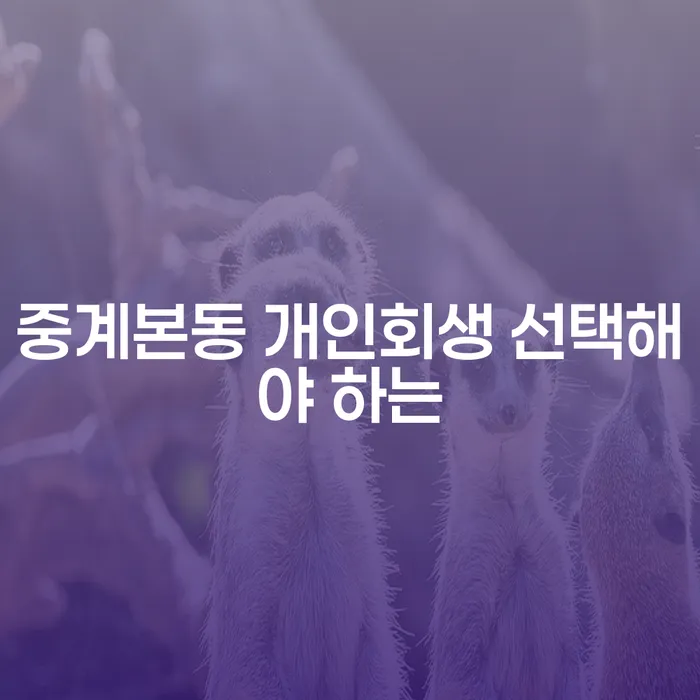 중계본동 개인회생 선택해야 하는