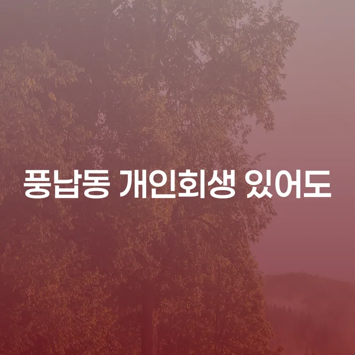 풍납동 개인회생 있어도