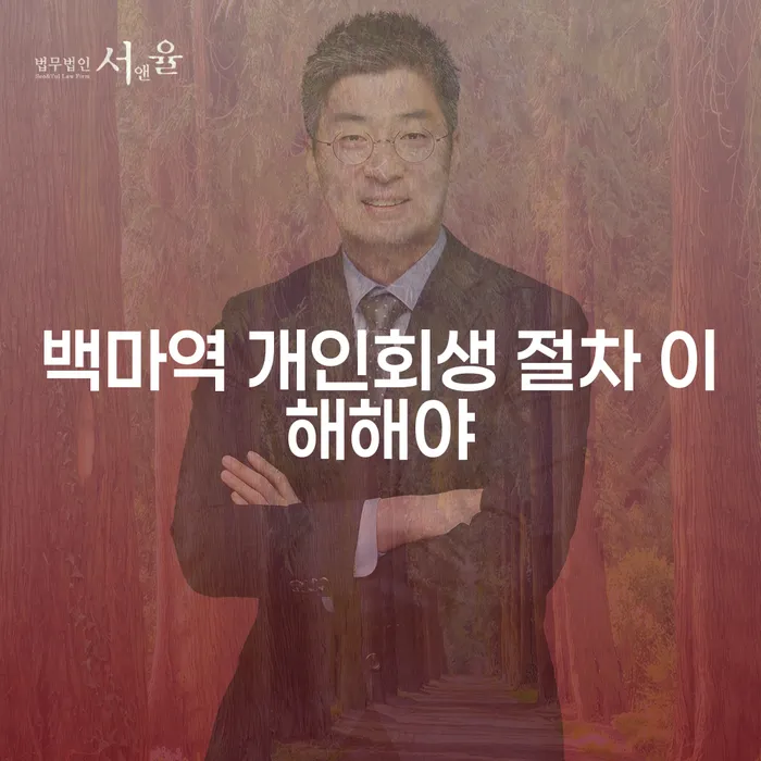 백마역 개인회생 절차 이해해야