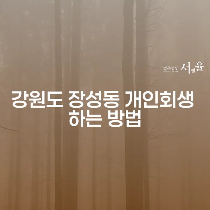 강원도 장성동에서 개인회생을 신청하는 방법은?