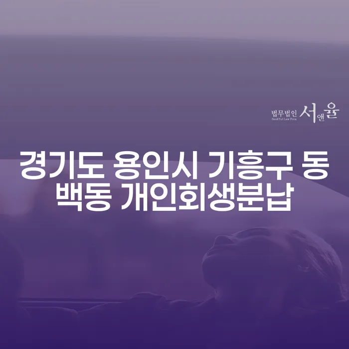 경기도 용인시 기흥구 동백동 개인회생분납, 지금 신청해야 할까요?