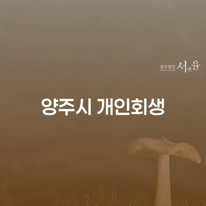 양주시에서 개인회생이 필요한 이유는 무엇일까요?