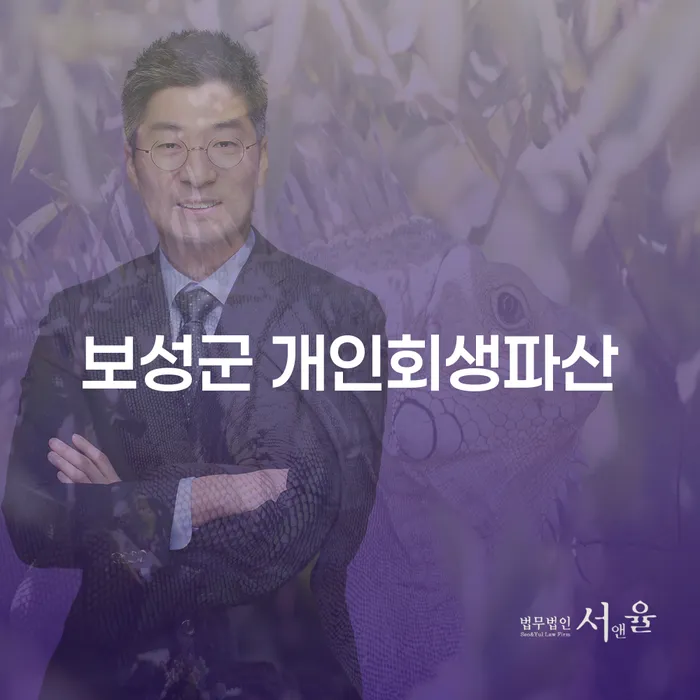 보성군에서 개인회생과 파산, 무엇이 더 적합할까요?