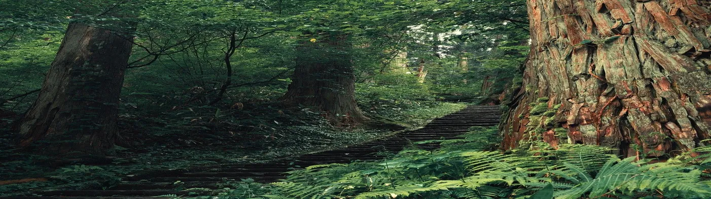 법무법인 서앤율